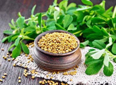 Alternate therapies/Sustainable health (Magnetotherapy/ Seed therapy/Colour Therapy/ Yoga)