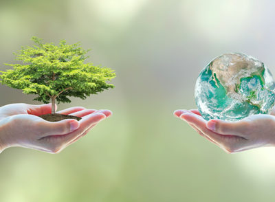 Water harvesting, water conservation and aqua culture