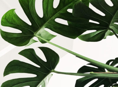 Carbon Credit, Low Carbon Renewable and Green Technologies Innovation and Marketing, Eco Village Development